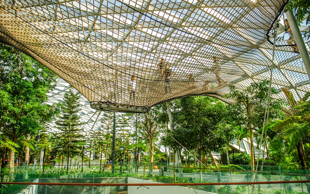 Visitors walking on Sky Nets at Canopy Park, Jewel Changi, surrounded by lush greenery.