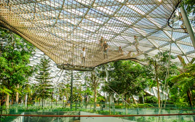 Visitors walking on Sky Nets at Canopy Park, Jewel Changi, surrounded by lush greenery.