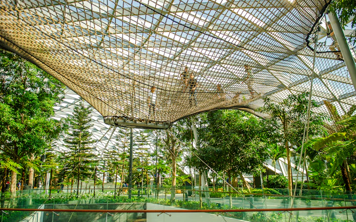 Visitors walking on Sky Nets at Canopy Park, Jewel Changi, surrounded by lush greenery.