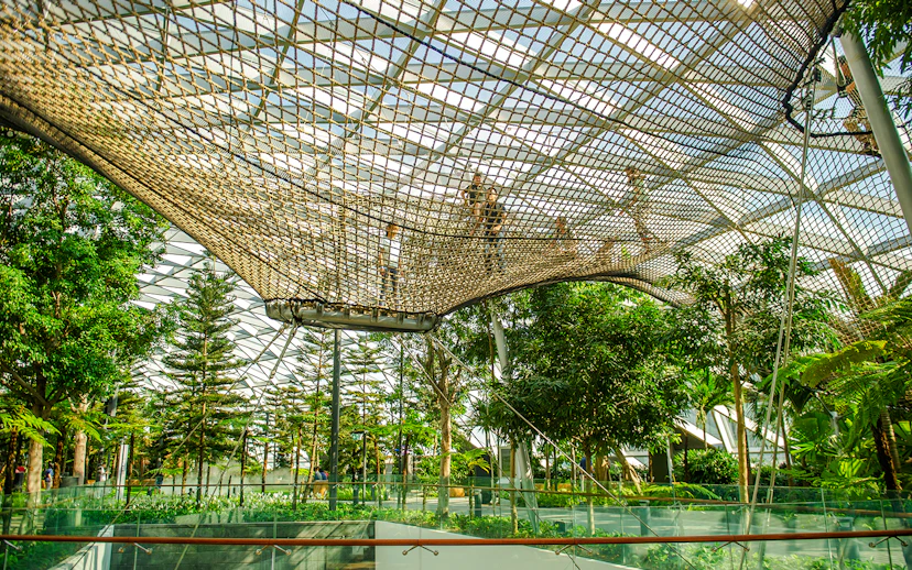 Visitors walking on Sky Nets at Canopy Park, Jewel Changi, surrounded by lush greenery.