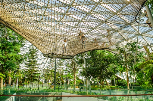Ingressos para o Jewel Changi Canopy Park com redes