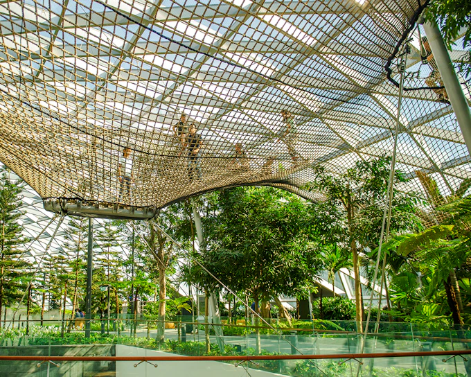 Jewel Changi Canopy Park Tickets with Nets