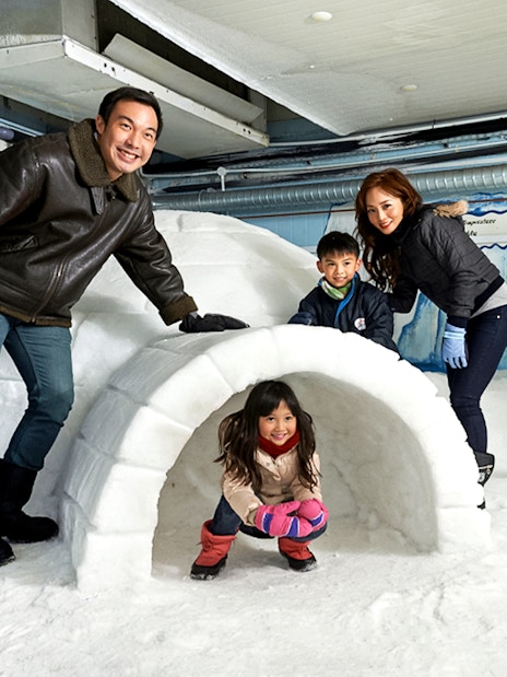 Guests exploring an igloo inside Singapore Snow City.