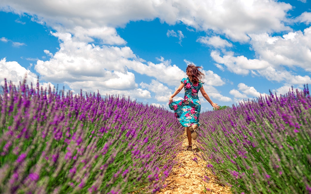 Woman running through a lavender field under a blue sky.
