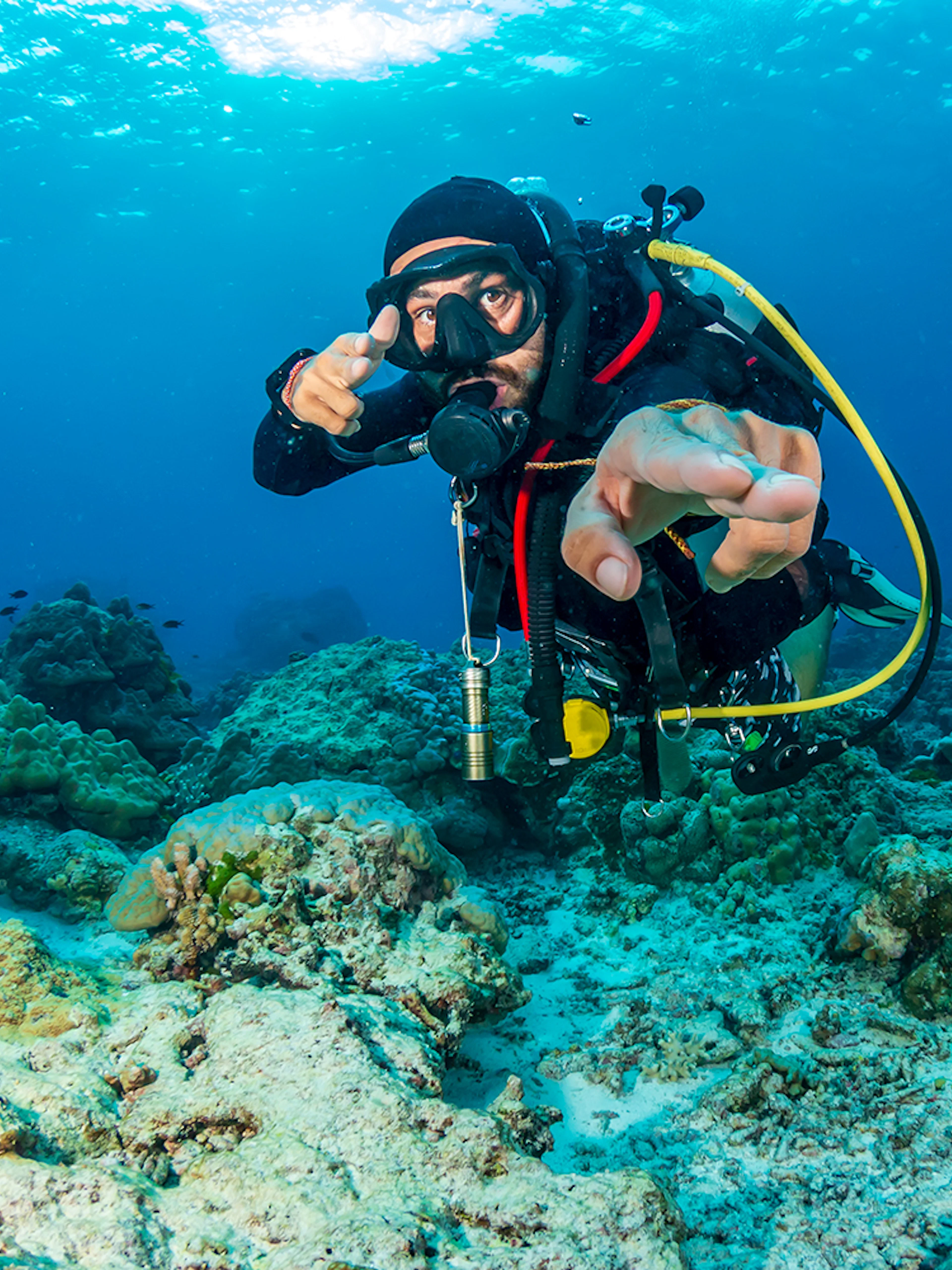 SCUBA diver exploring coral reef with tropical fish in clear blue water.