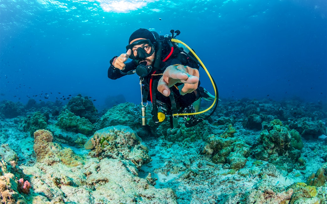 SCUBA diver exploring coral reef with tropical fish in clear blue water.