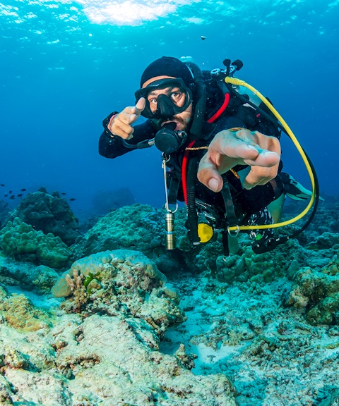 SCUBA diver exploring coral reef with tropical fish in clear blue water.