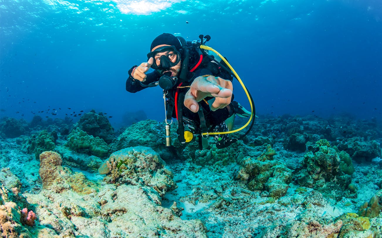 SCUBA diver exploring coral reef with tropical fish in clear blue water.