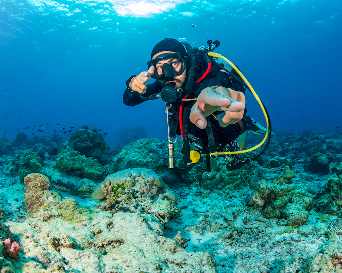 Moreton Island: Tangalooma Scuba Diving Tour