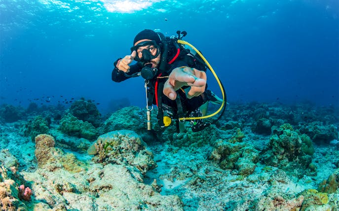SCUBA diver exploring coral reef with tropical fish in clear blue water.