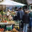 Local market visit