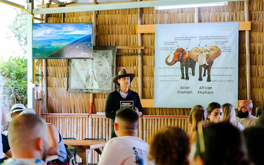 Guide discussing elephants at Phuket Elephant Care with visitors.