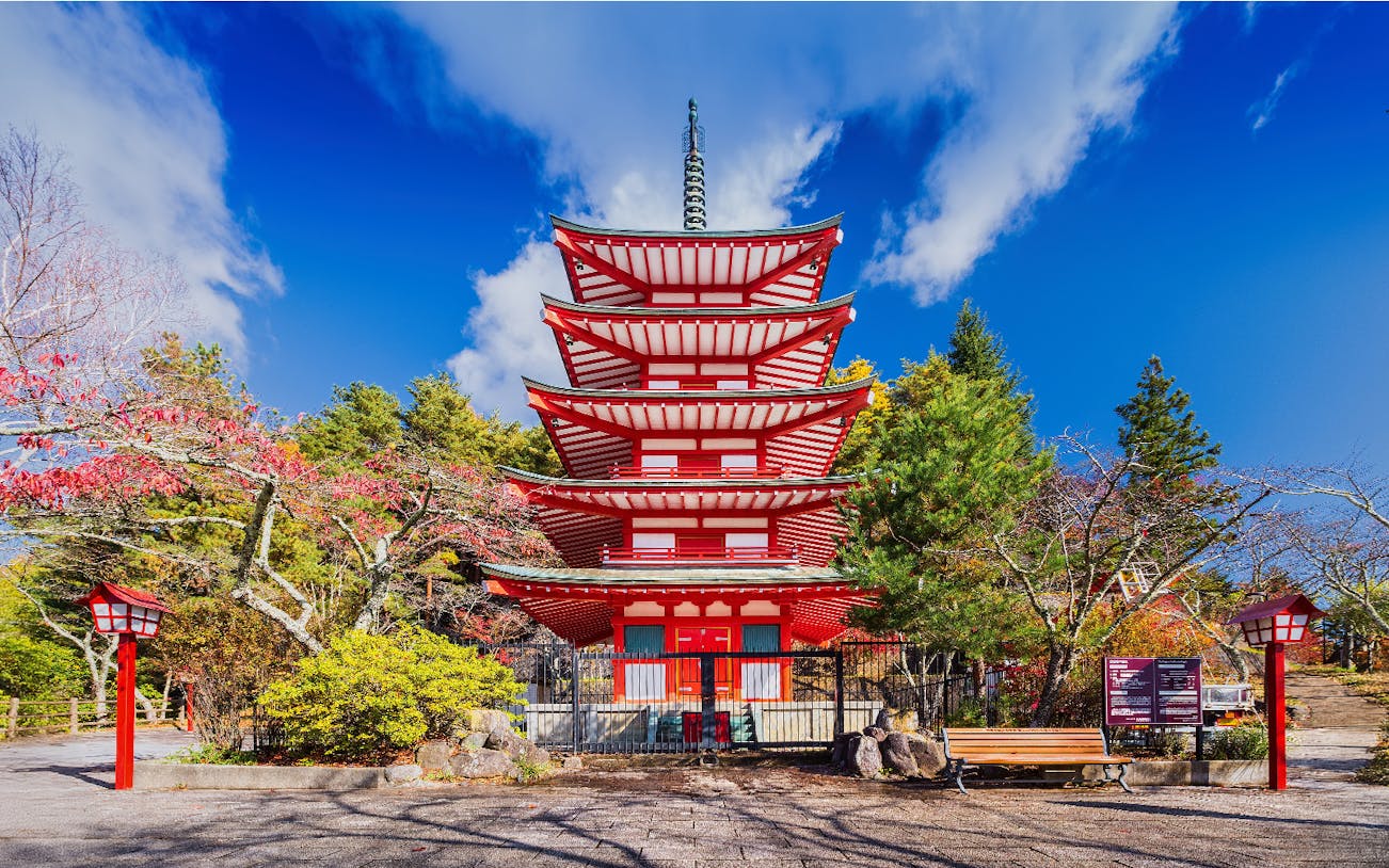 Mount Fuji view with cherry blossoms, private day trip, English-speaking driver, Tokyo, Japan.