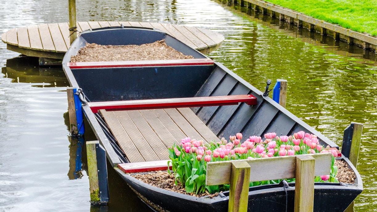 Whisper boat with tulips on a canal near Keukenhof.
