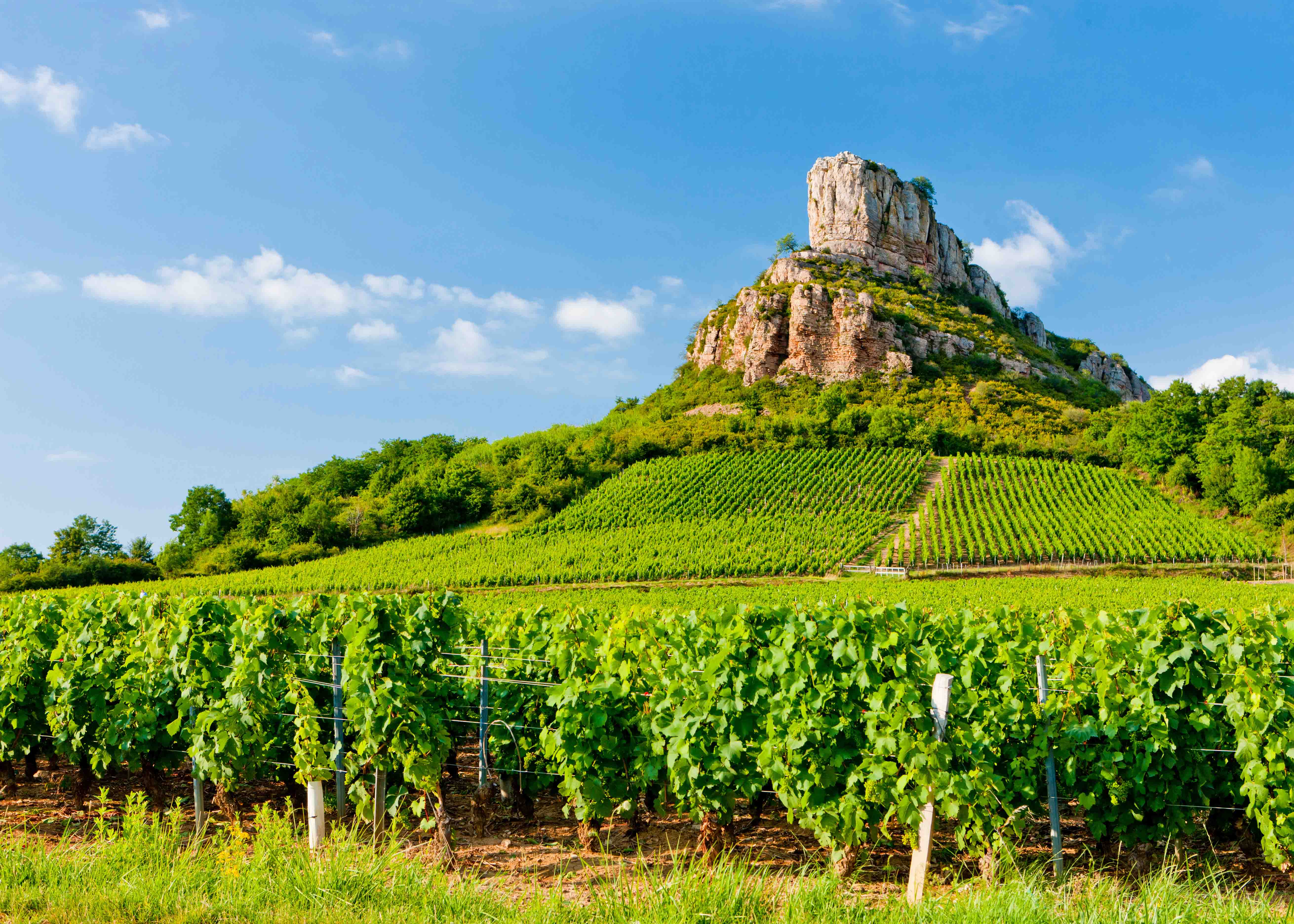 Valentine's Day in Paris