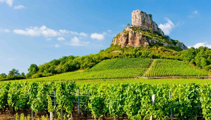 Valentine's Day in Paris