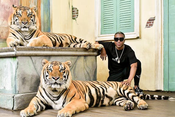 tiger kingdom tickets with private transfers-8