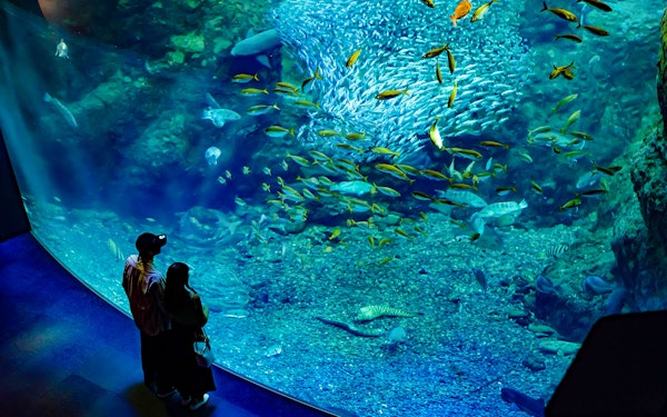 Enoshima Aquarium Tickets