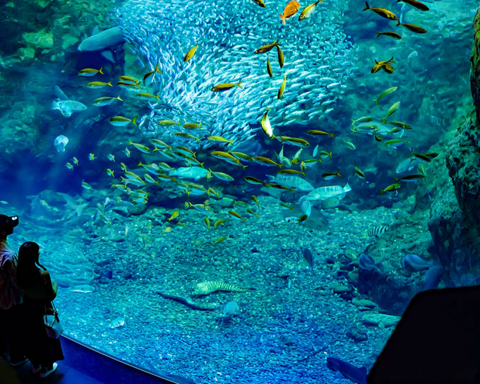 Enoshima Aquarium Tickets