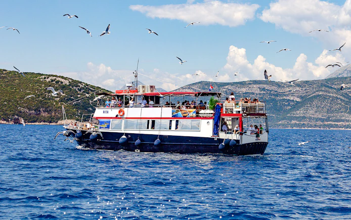 Cruise boat on Elaphite Islands tour from Dubrovnik with seagulls flying nearby.