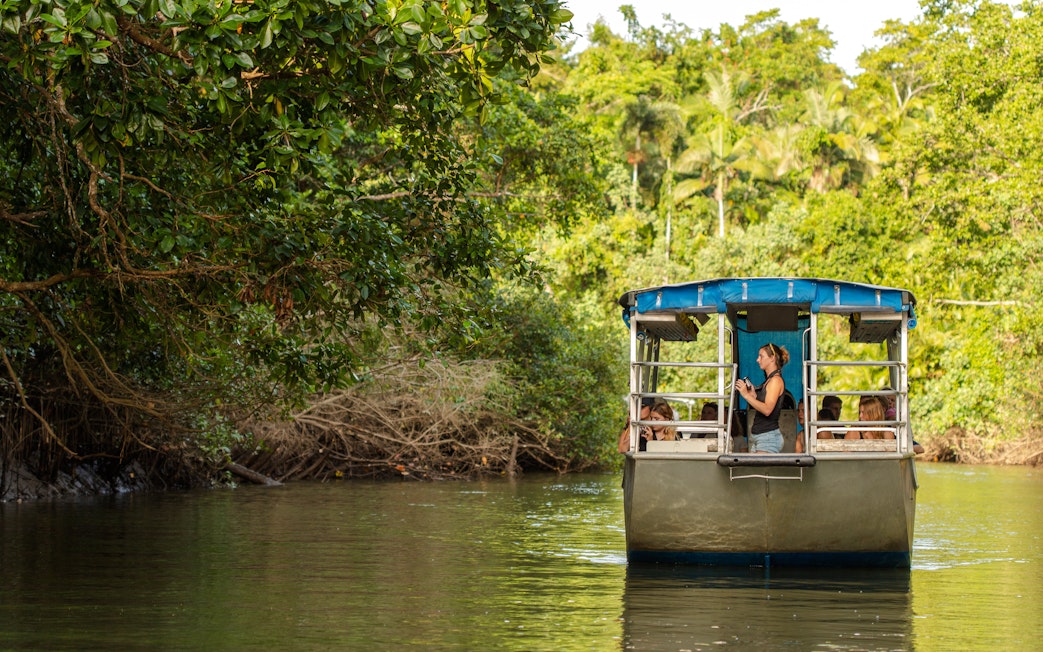 Boat tour through lush Daintree rainforest with Billy Tea Safaris.