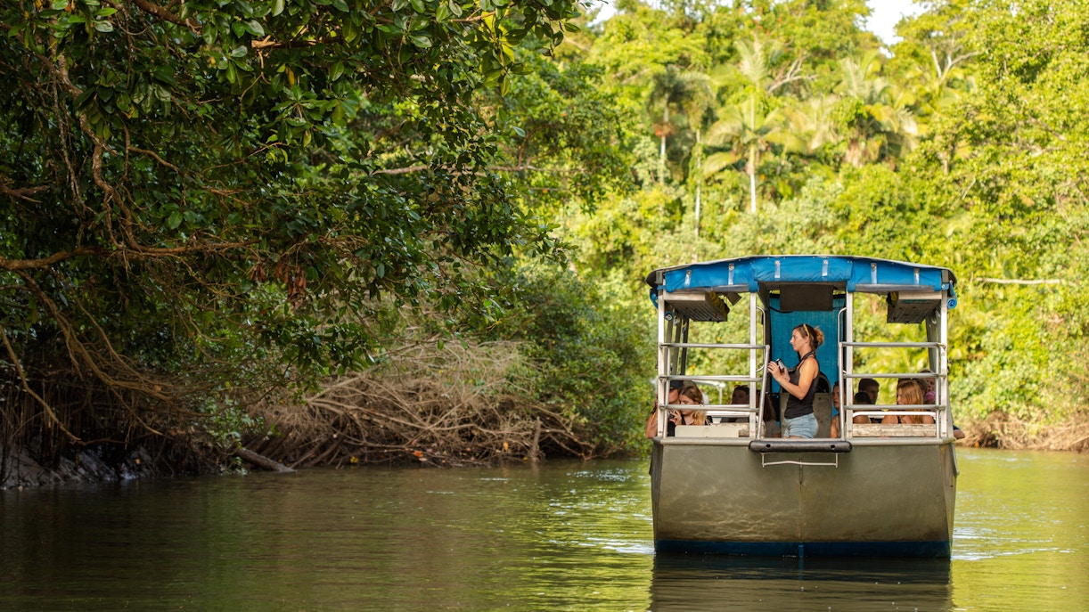 Boat tour through lush Daintree rainforest with Billy Tea Safaris.