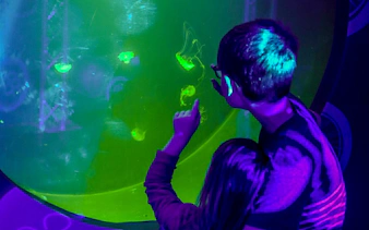 Guests observing jellyfish at SEA LIFE Birmingham.