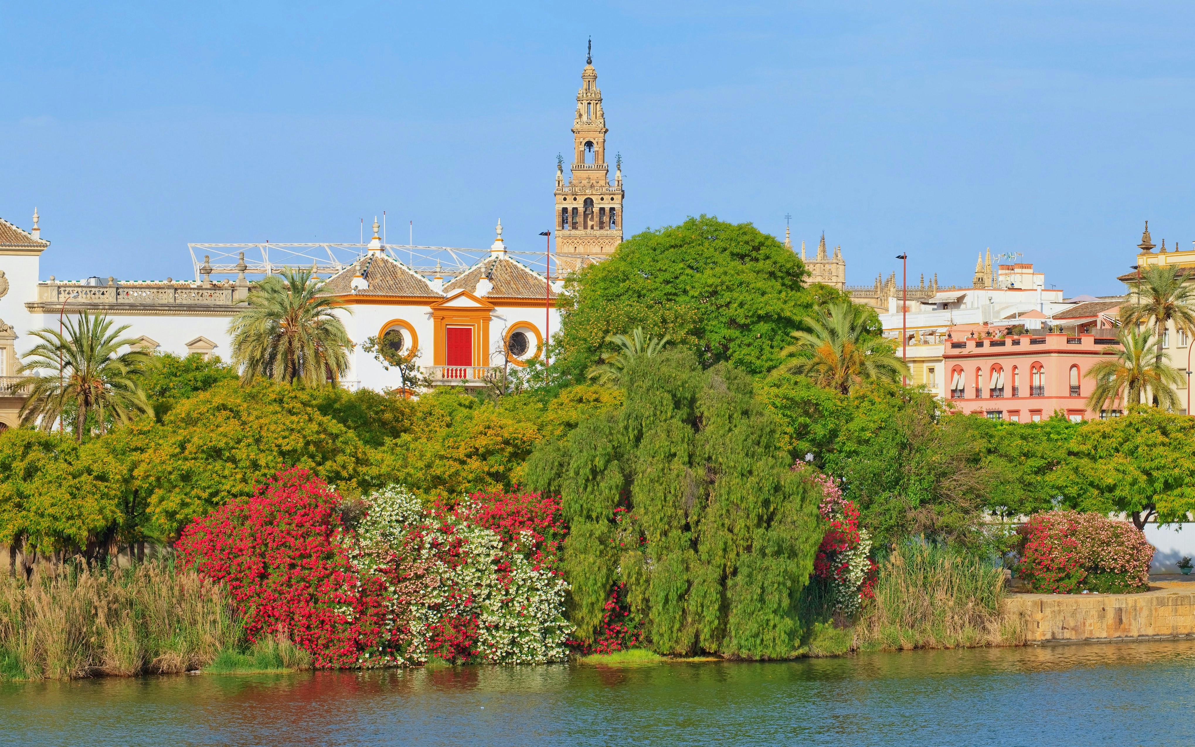 La Giralda tower viewed from across the river in Seville, surrounded by lush greenery.