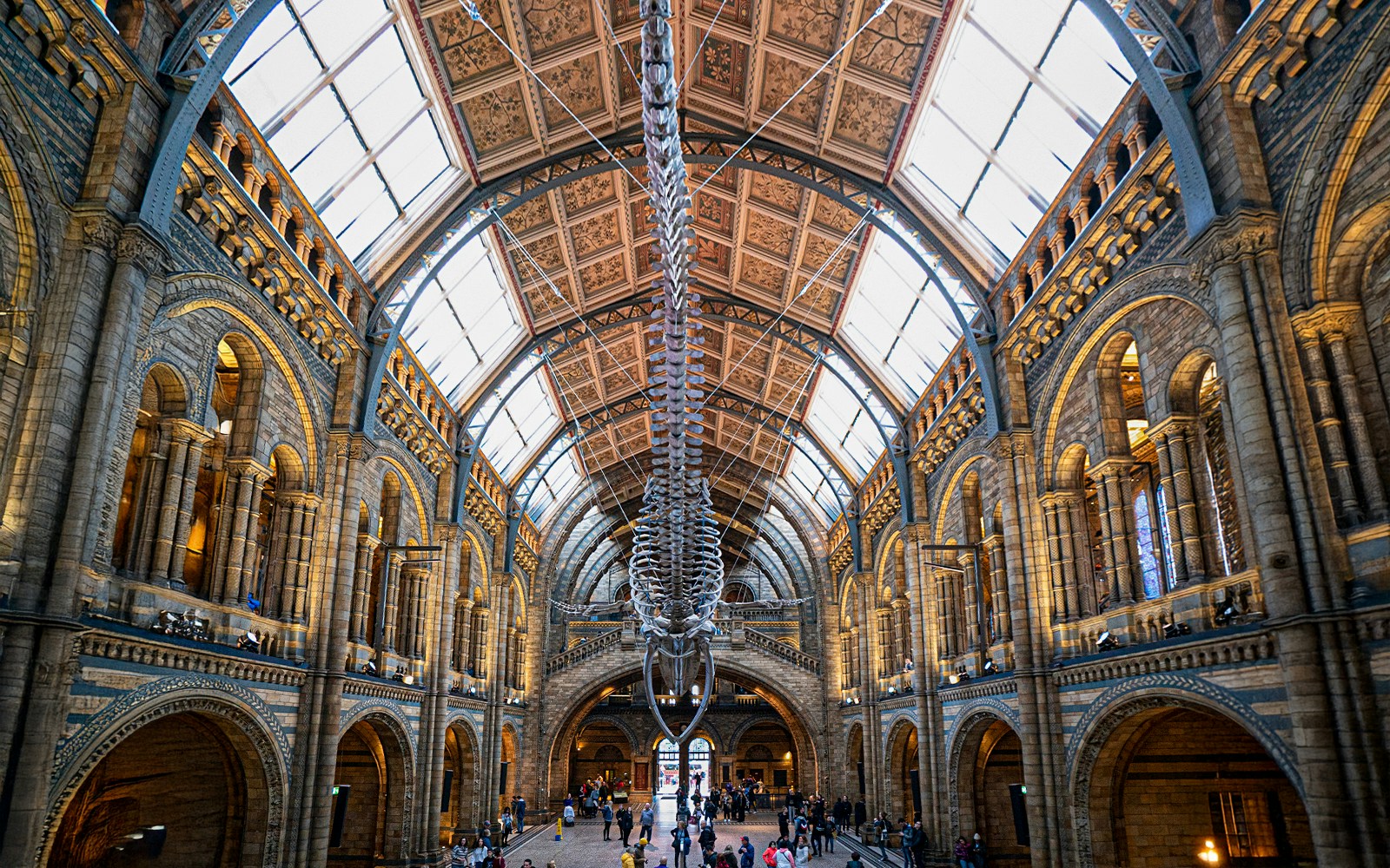 Whale skeleton in the main hall of the Natural History Museum, London.