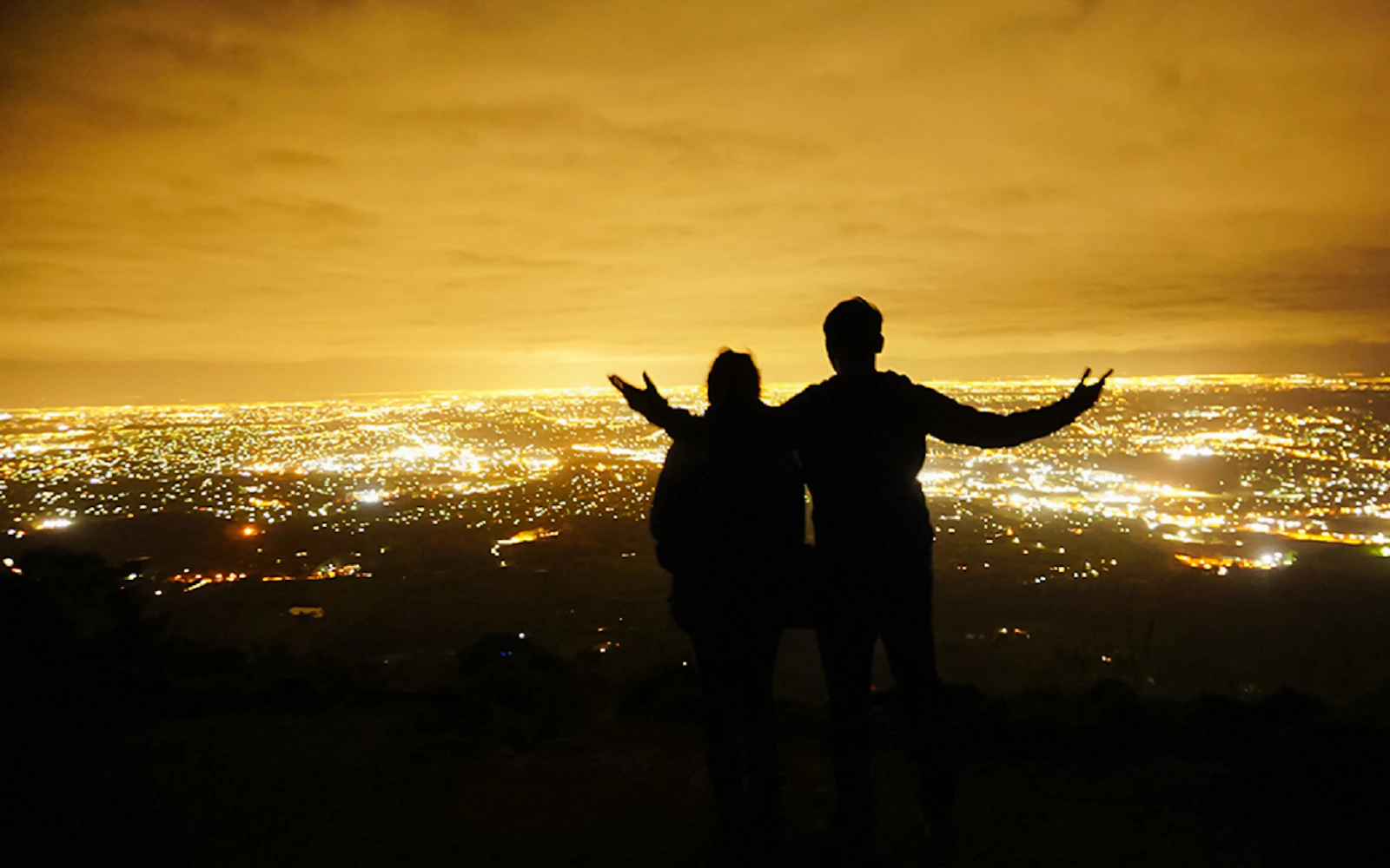 From Melbourne: Mt Dandenong Small-Group Tour