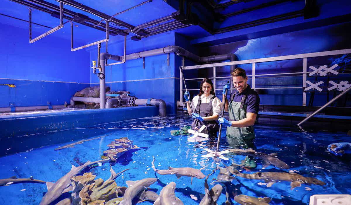 Dubai Butterfly Garden