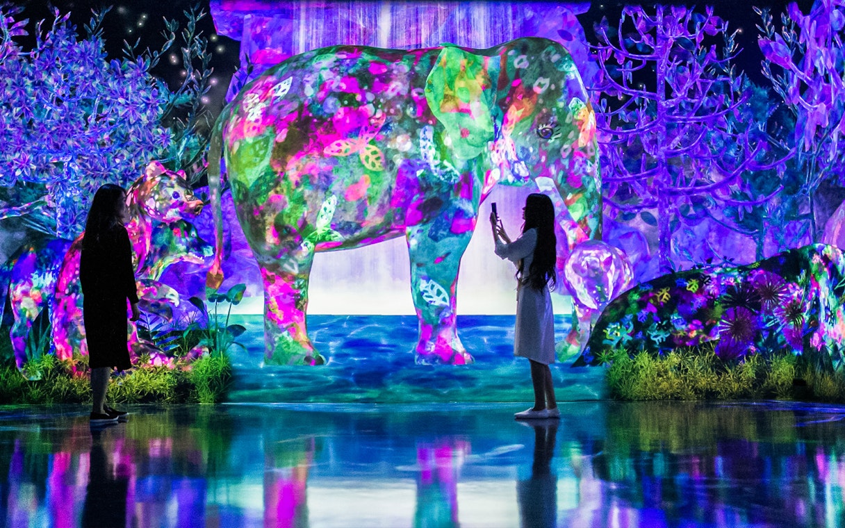 Visitors interacting with colorful digital art of animals at E・ZO FUKUOKA teamLab Forest.