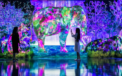 Visitors interacting with colorful digital art of animals at E・ZO FUKUOKA teamLab Forest.