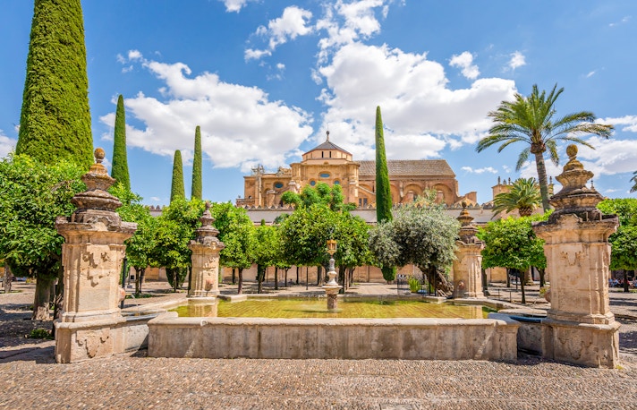 Orange Tree Courtyard