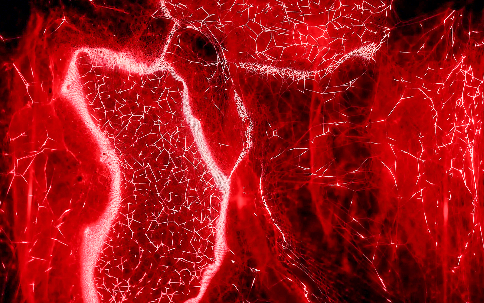 Red light patterns exhibit at Light Art Museum.