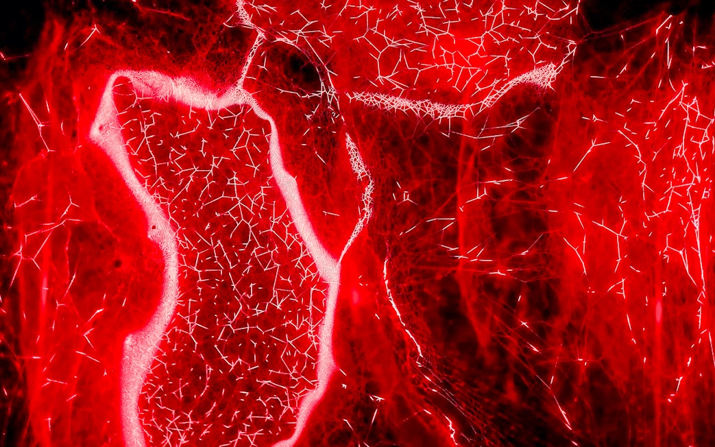 Red light patterns exhibit at Light Art Museum.