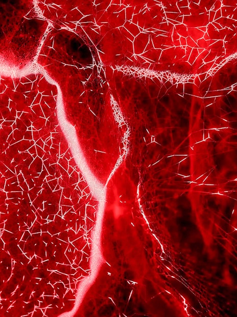 Red light patterns exhibit at Light Art Museum.