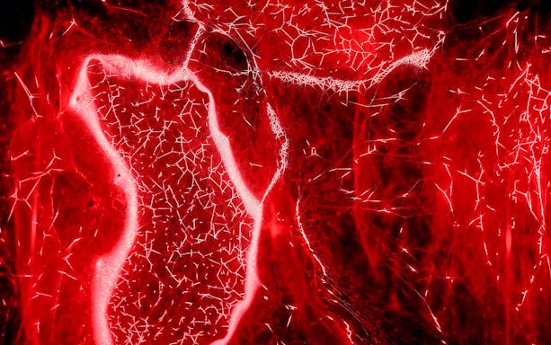 Red light patterns exhibit at Light Art Museum.