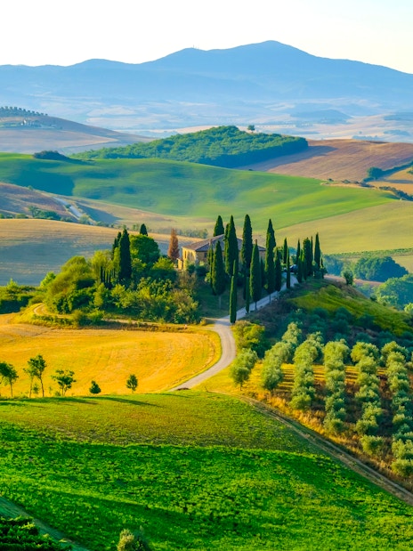 Chianti landscape with rolling hills, vineyards, and cypress trees in Tuscany, Italy.