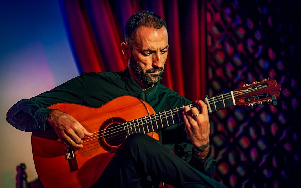 Guitarist performing at Palacio Flamenco Granada show.