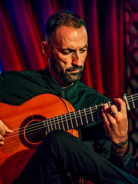 Guitarist performing at Palacio Flamenco Granada show.