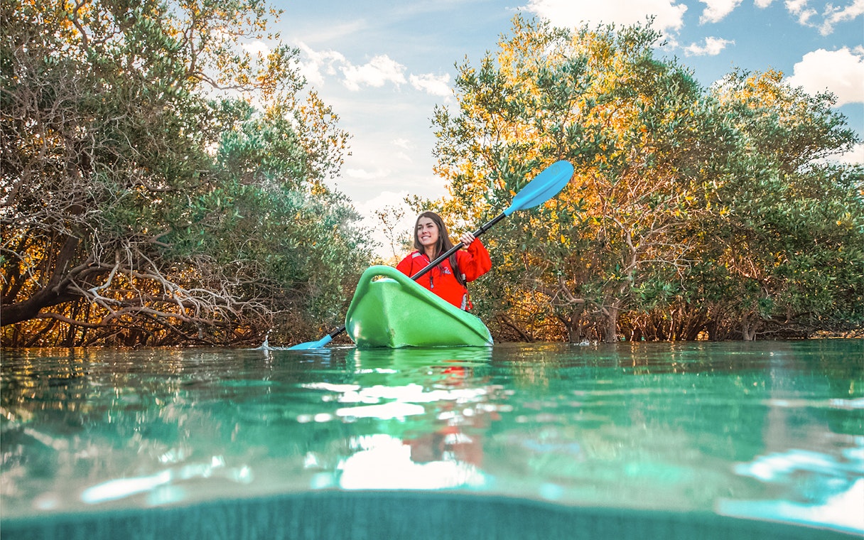 Kayaker paddling through mangroves in Abu Dhabi.