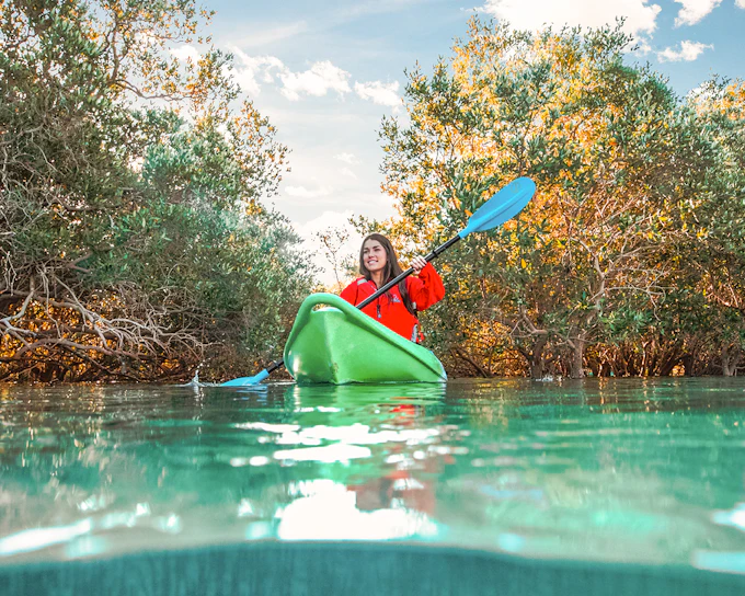 Tickets to Mangrove Kayaking in Abu Dhabi