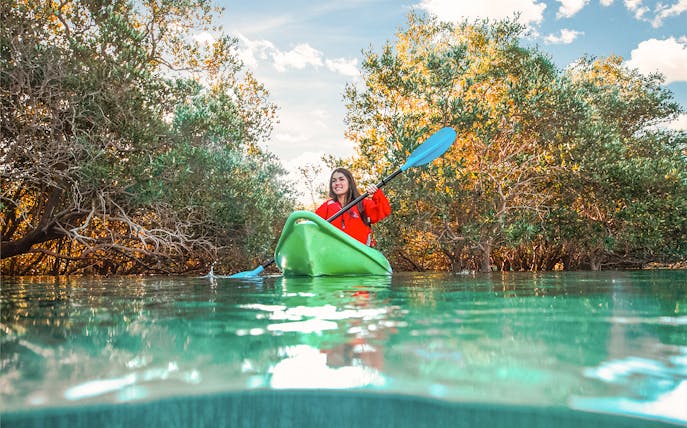 Kayaker paddling through mangroves in Abu Dhabi.