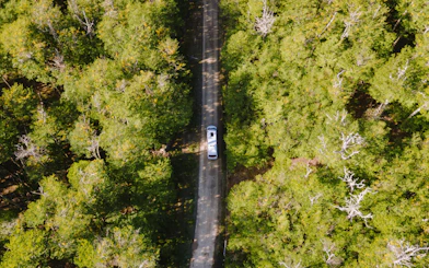 Bus traveling through forested road to lakes in Ushuaia, Argentina.