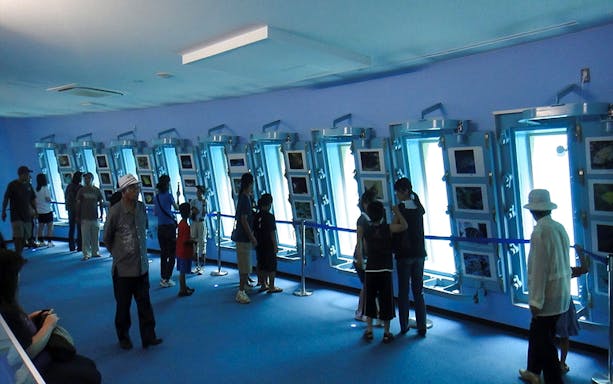 Visitors viewing marine life through windows at Okinawa Miyakojima Undersea Park.