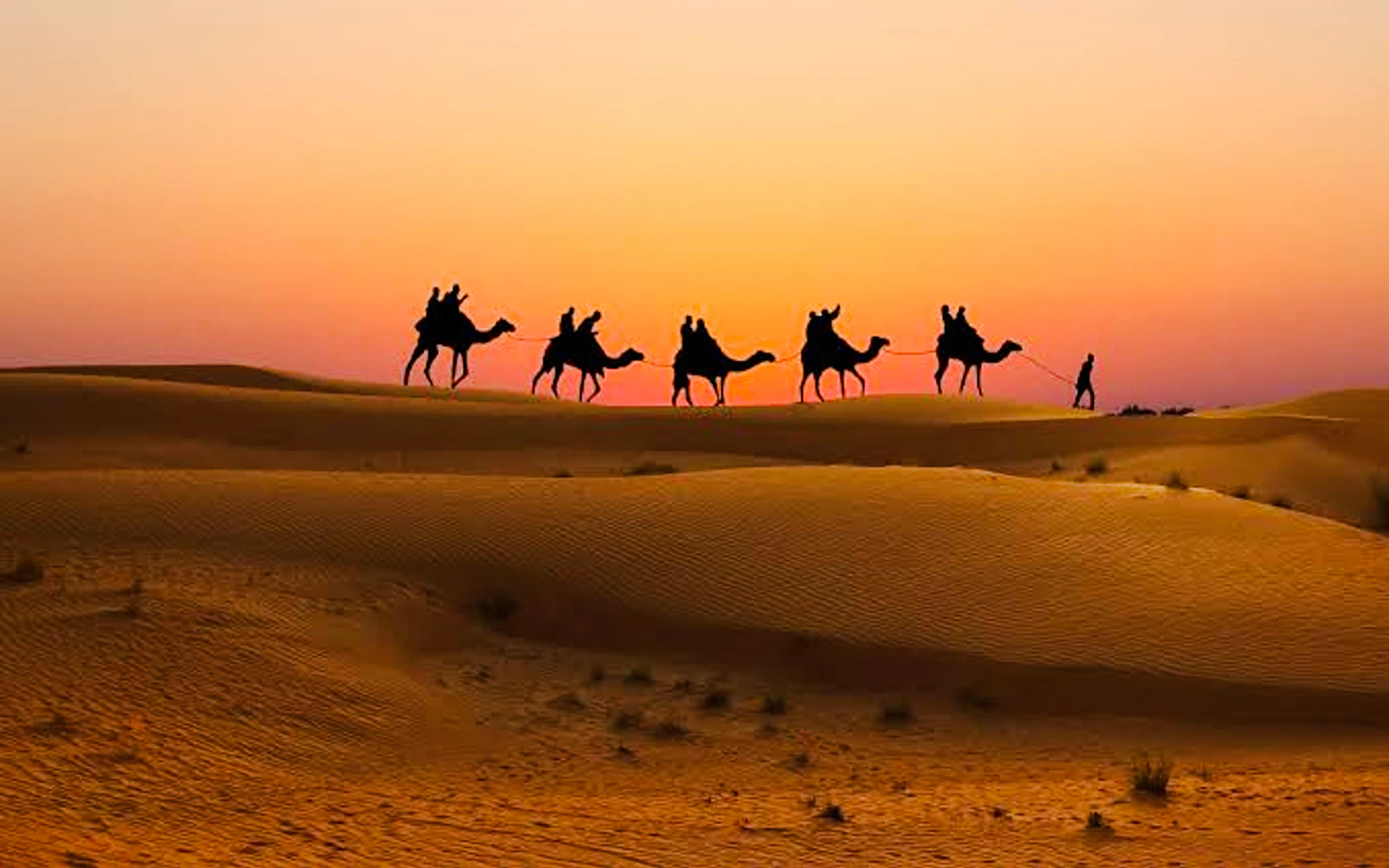 Dubai Red Dunes Desert Safari with BBQ Dinner, Camel Ride, Sandboarding and Hotel Transfers Image 3