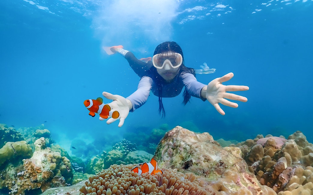 Snorkeler reaching towards clownfish near coral reef at Nemo Island.