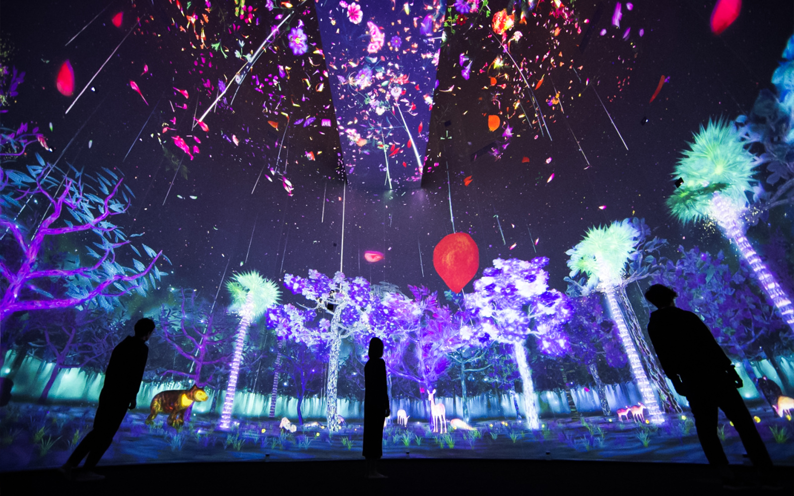 Story of the Forest - National Museum of Singapore