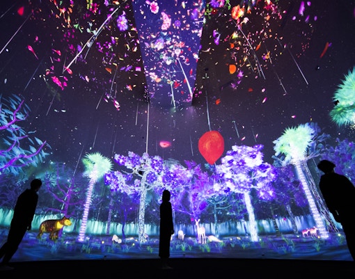 Story of the Forest - National Museum of Singapore